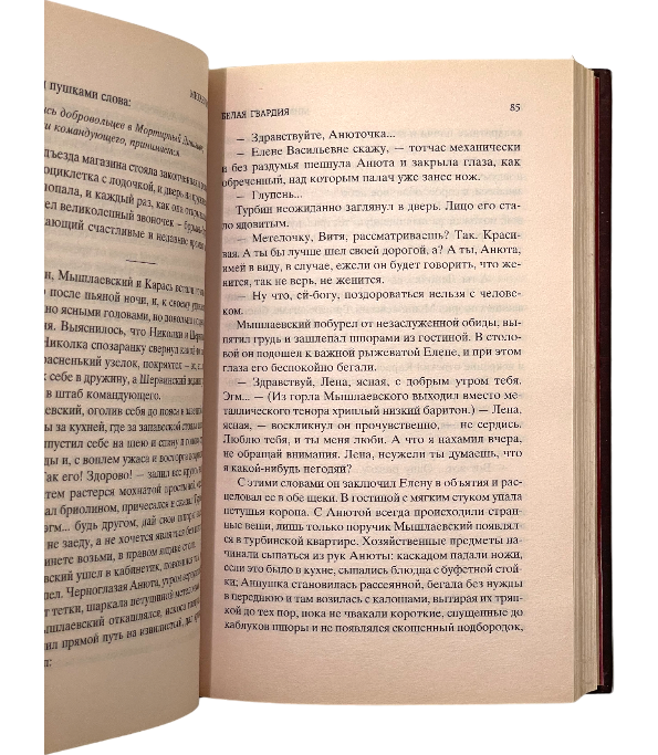 Белая гвардия