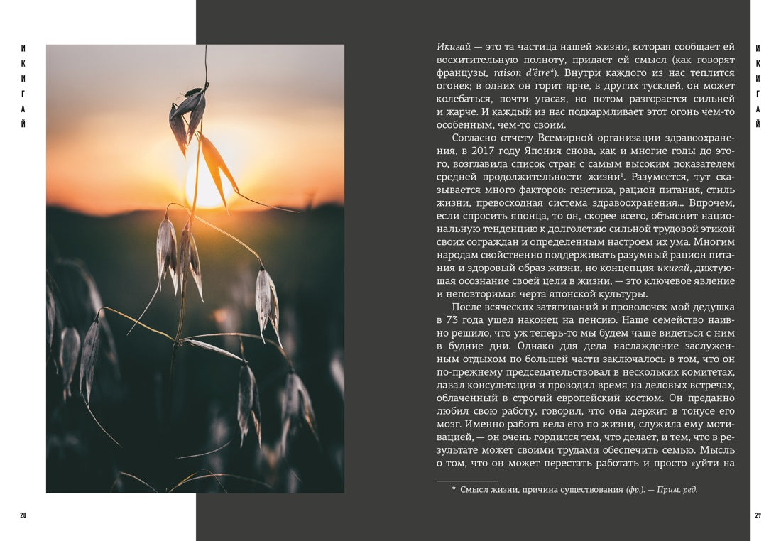 Японизм. Маленькая книга японской жизненной мудрости