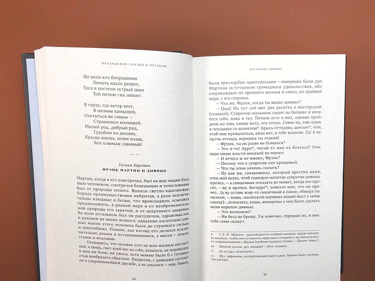 Ирландские сказки и легенды