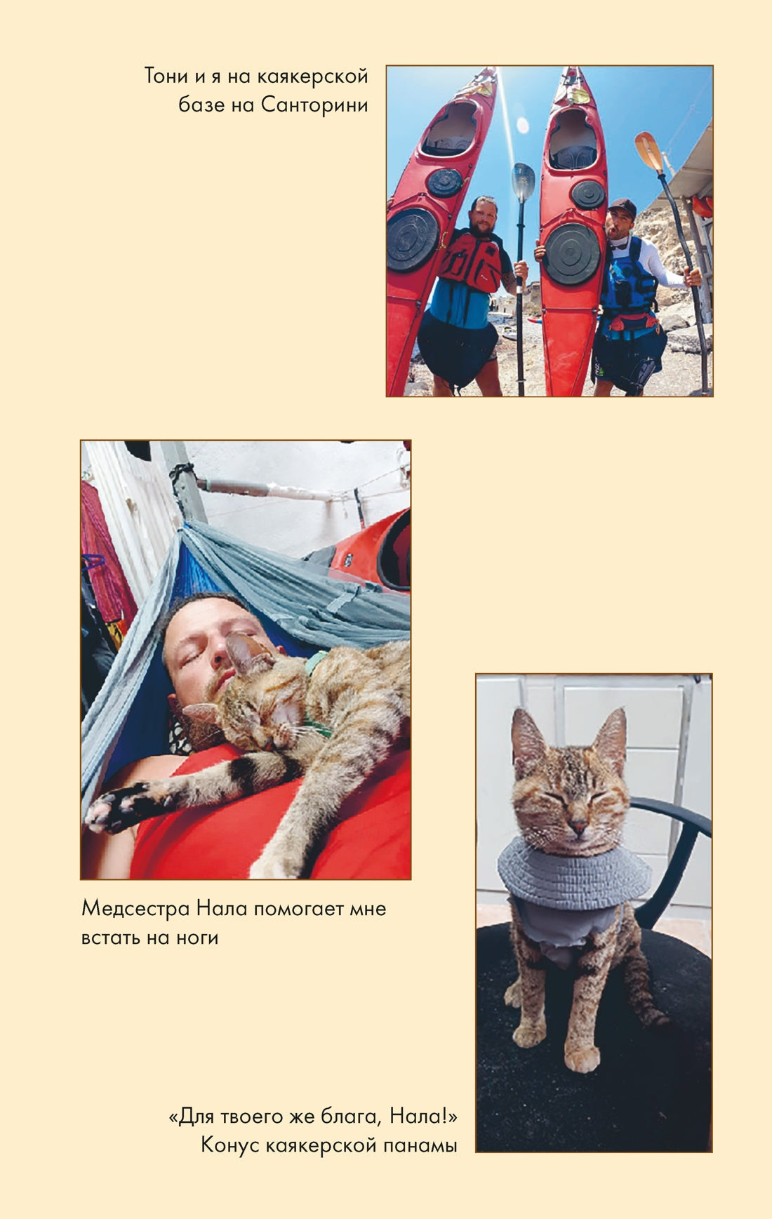 Мир Налы