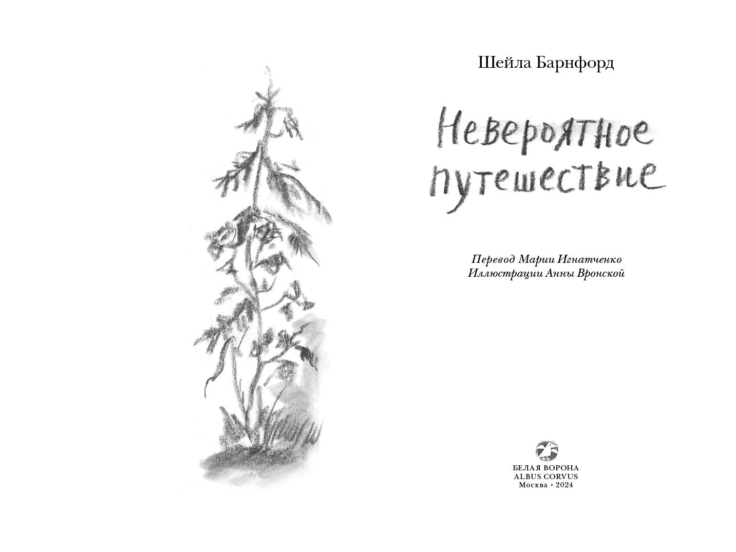 Невероятное путешествие