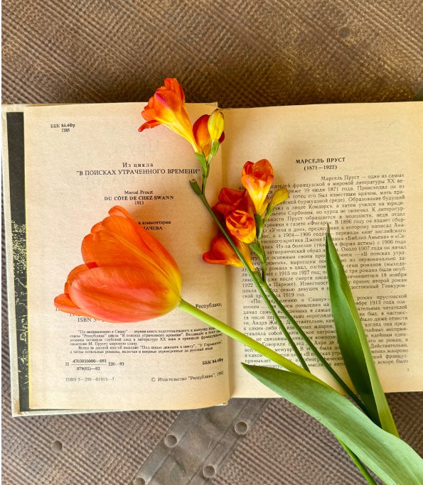 По направлению к свану