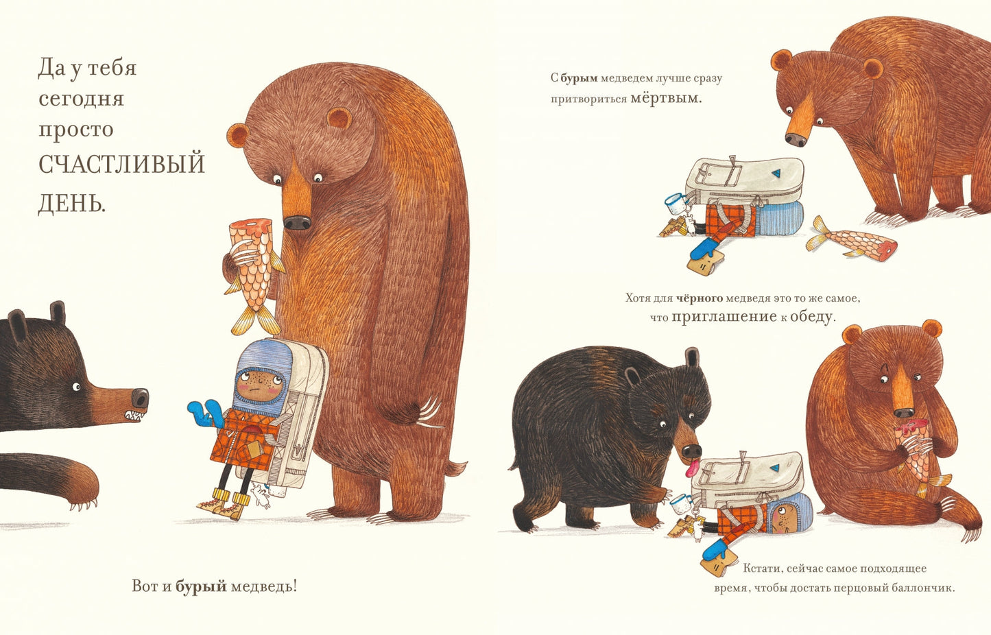 Практическая медведология для начинающих