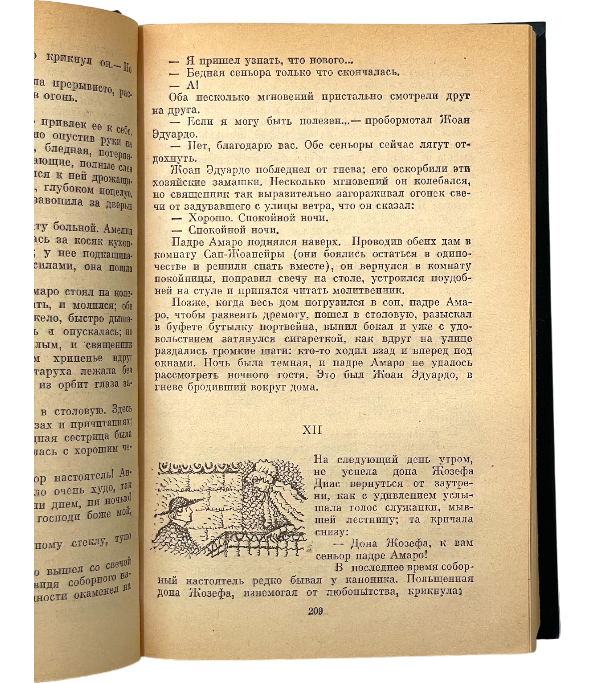 Преступление падре Амаро. Мандарин. Реликвия