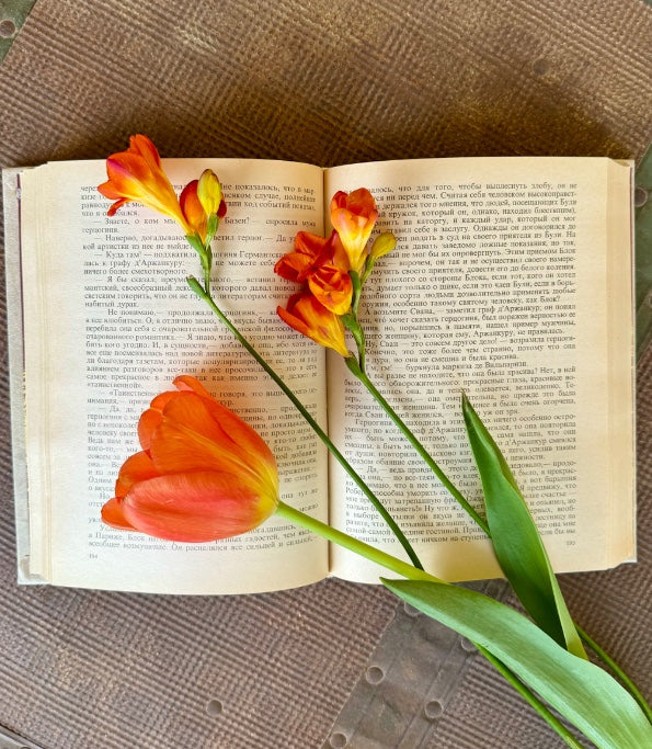 У Германтов