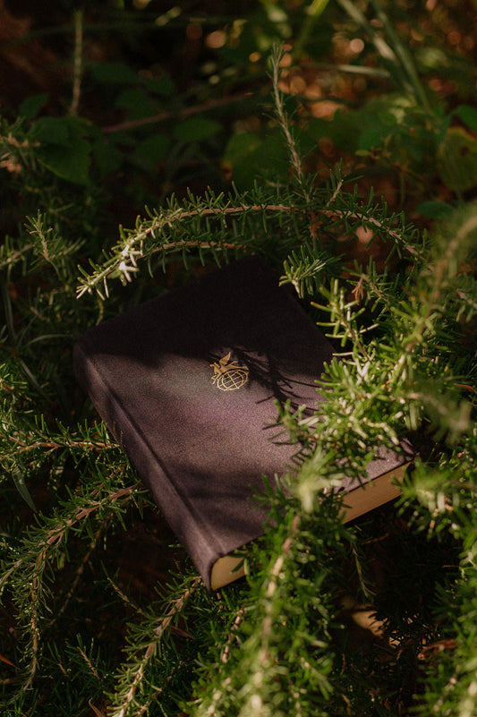 Жан-Кристоф. Том 1-4 из собрания сочинений