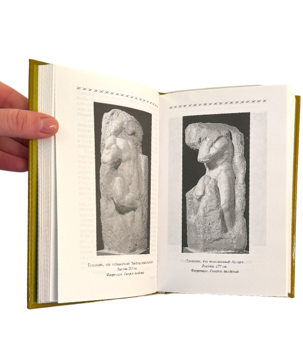 Жизнь Микеланджело