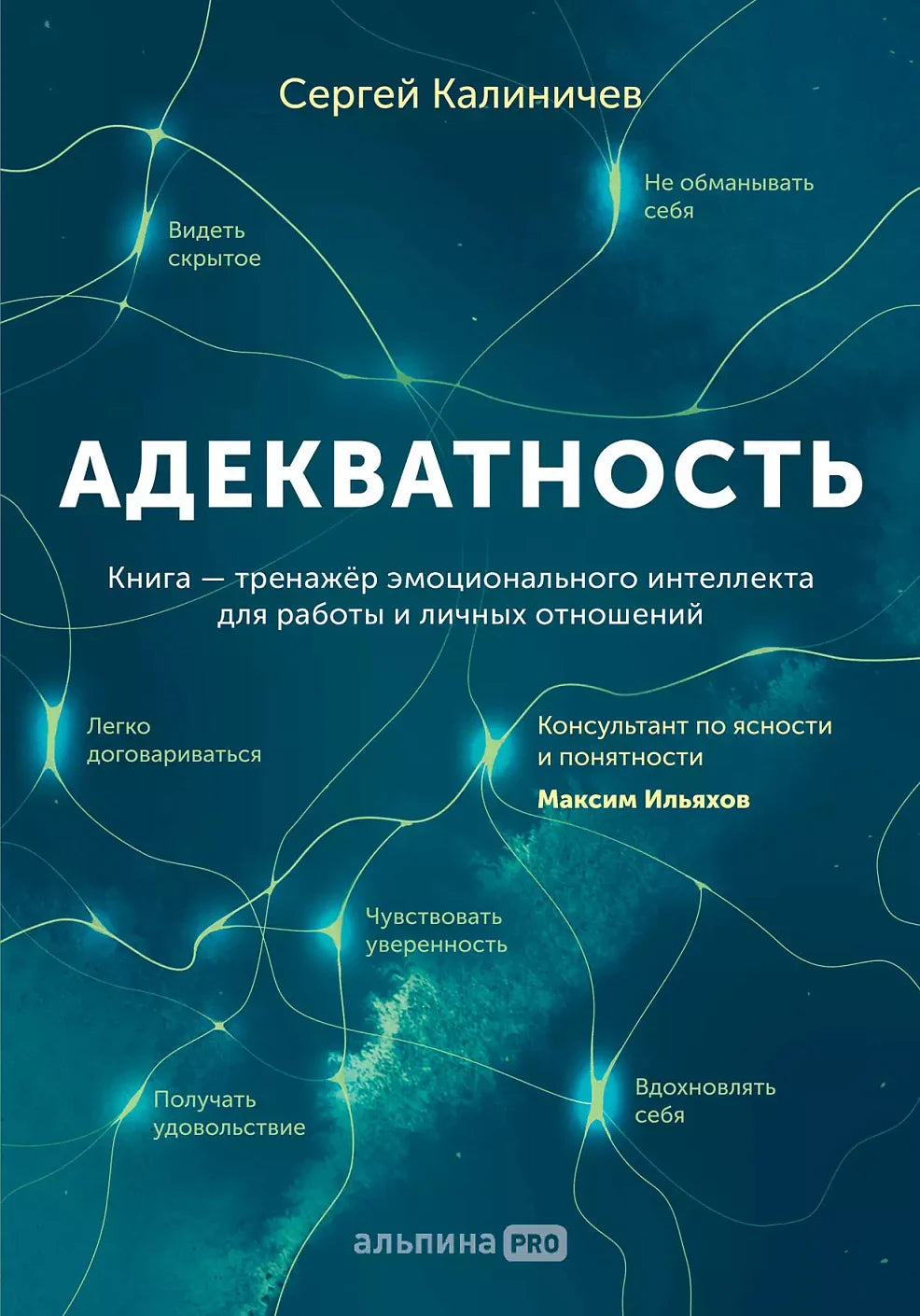 Адекватность. Как видеть суть происходящего, принимать хорошие решения и создавать результат без стресса