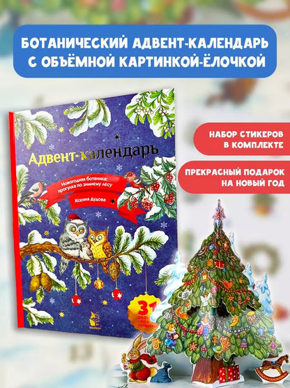 Адвент-календарь. Новогодняя ботаника: прогулка по зимнему лесу