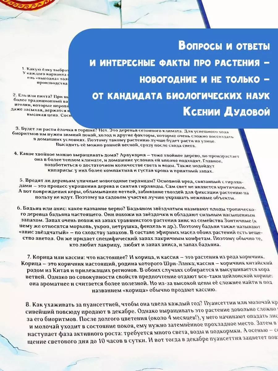 Адвент-календарь. Новогодняя ботаника: прогулка по зимнему лесу