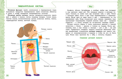 Анатомия для детей