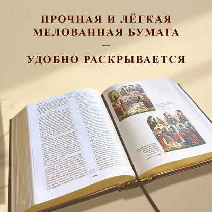 Библия. Книги Священного Писания Ветхого и Нового Завета, с параллельными местами, с цветными иллюстрациями, синодальный перевод, в кожаном переплете