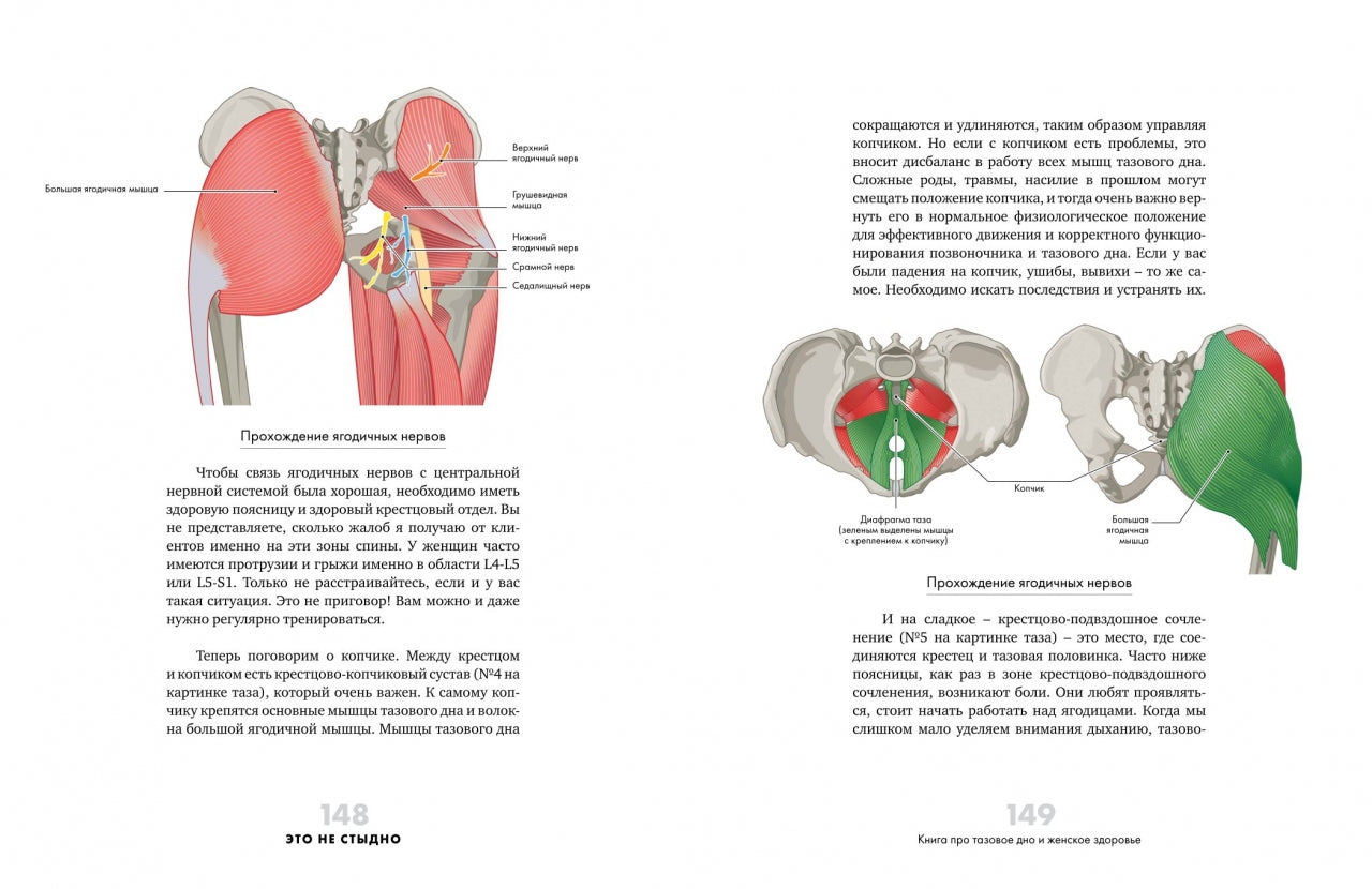 Это не стыдно. Книга про тазовое дно и женское здоровье