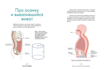 Это не стыдно. Книга про тазовое дно и женское здоровье