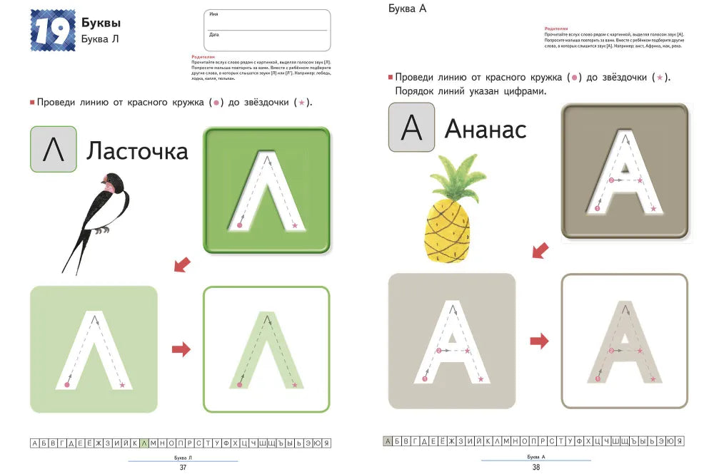 Развивающая тетрадь: Учимся писать печатные буквы русского алфавита